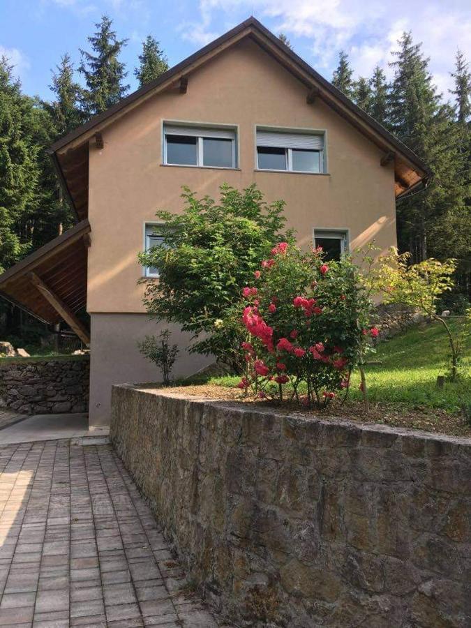 Apartmaji Velikonja Ajdovščina Eksteriør billede